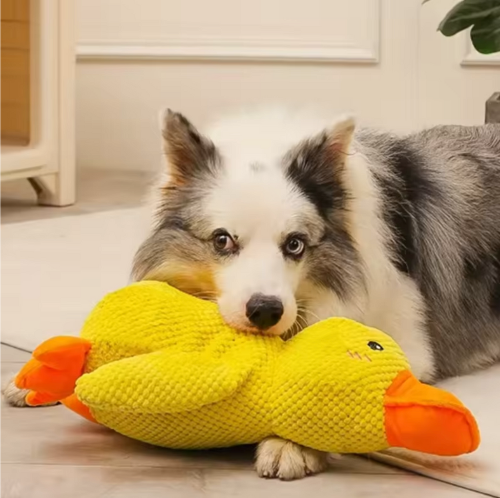 Apaches-Ducky Duck