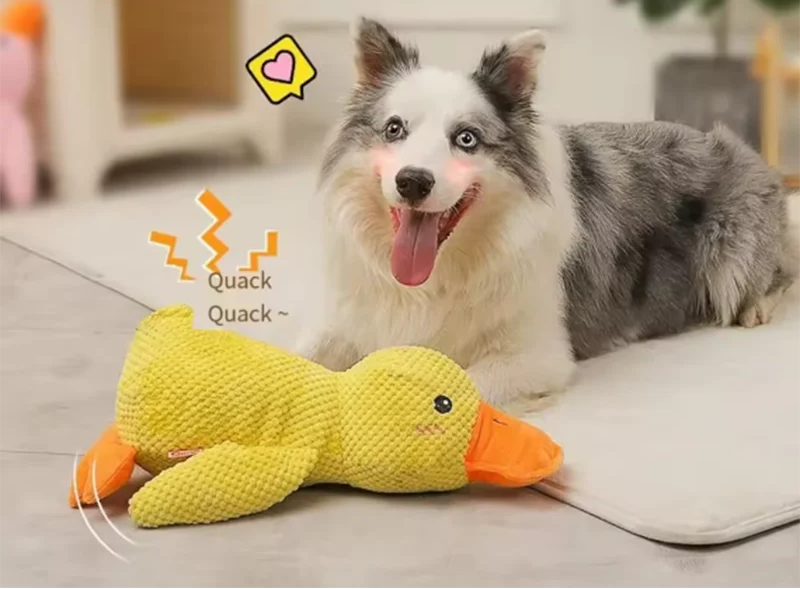 Apaches-Ducky Duck