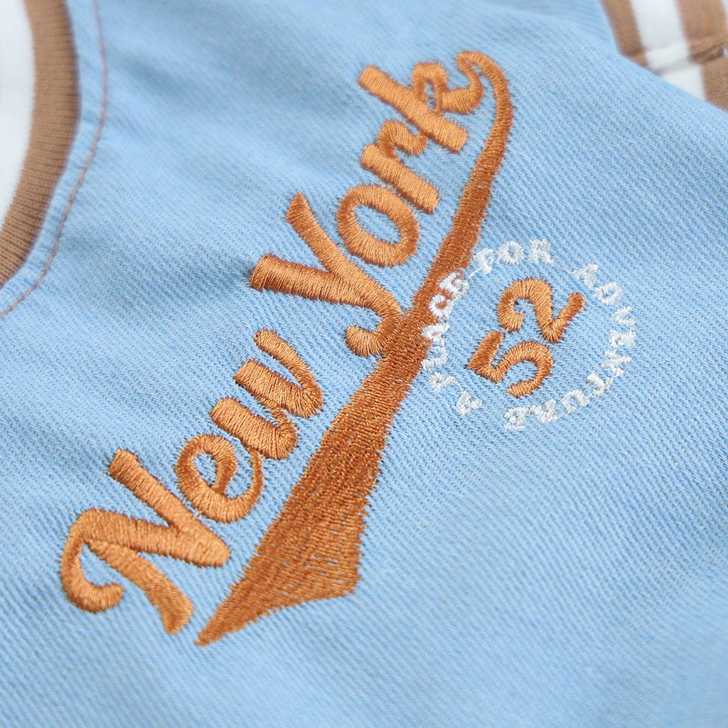 Apaches-NYC Teddy
