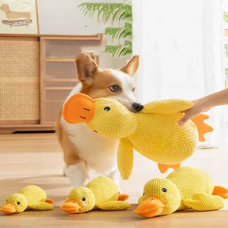 Apaches-Ducky Duck